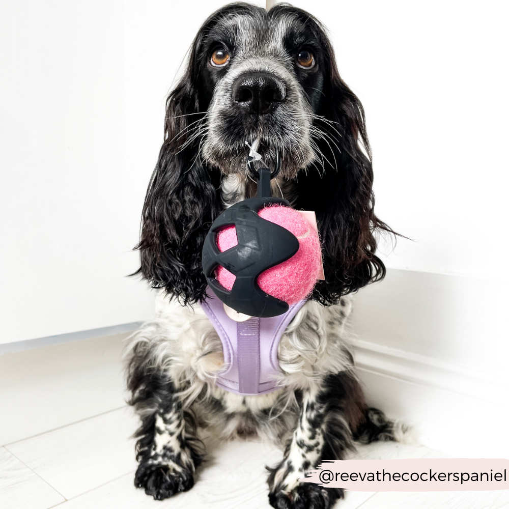 Tennis Ball Holder - Black