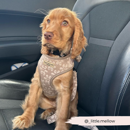 Luxe Adjustable Neck HARNESS - Mocha Flower
