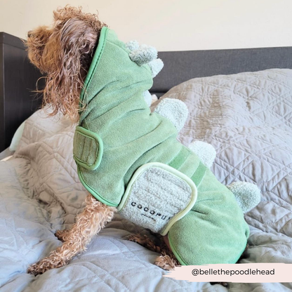 Dinopup Drying Robe