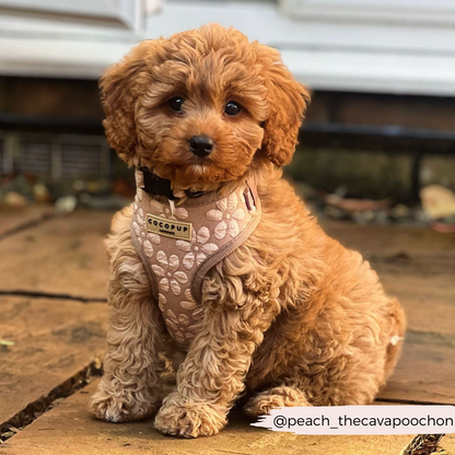 Luxe Adjustable Neck HARNESS - Mocha Flower