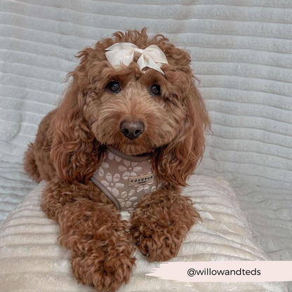Luxe Adjustable Neck HARNESS - Mocha Flower
