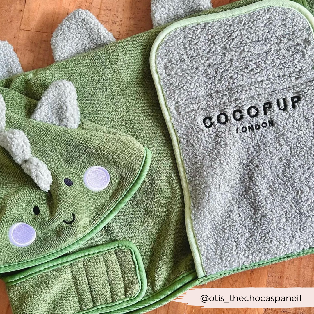 Dinopup Drying Robe