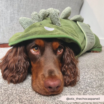 Dinopup Drying Robe