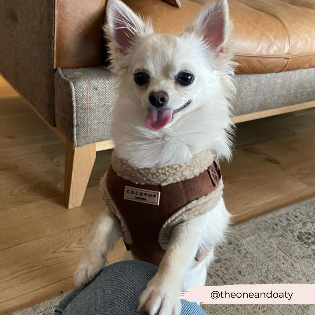 Brown Aviator Adjustable Neck HARNESS
