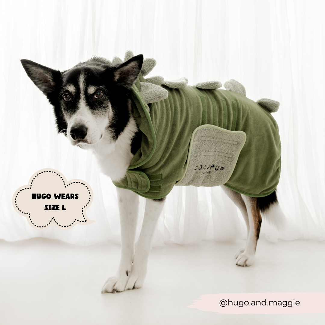 Dinopup Drying Robe