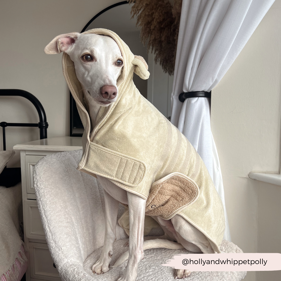Teddy Drying Robe