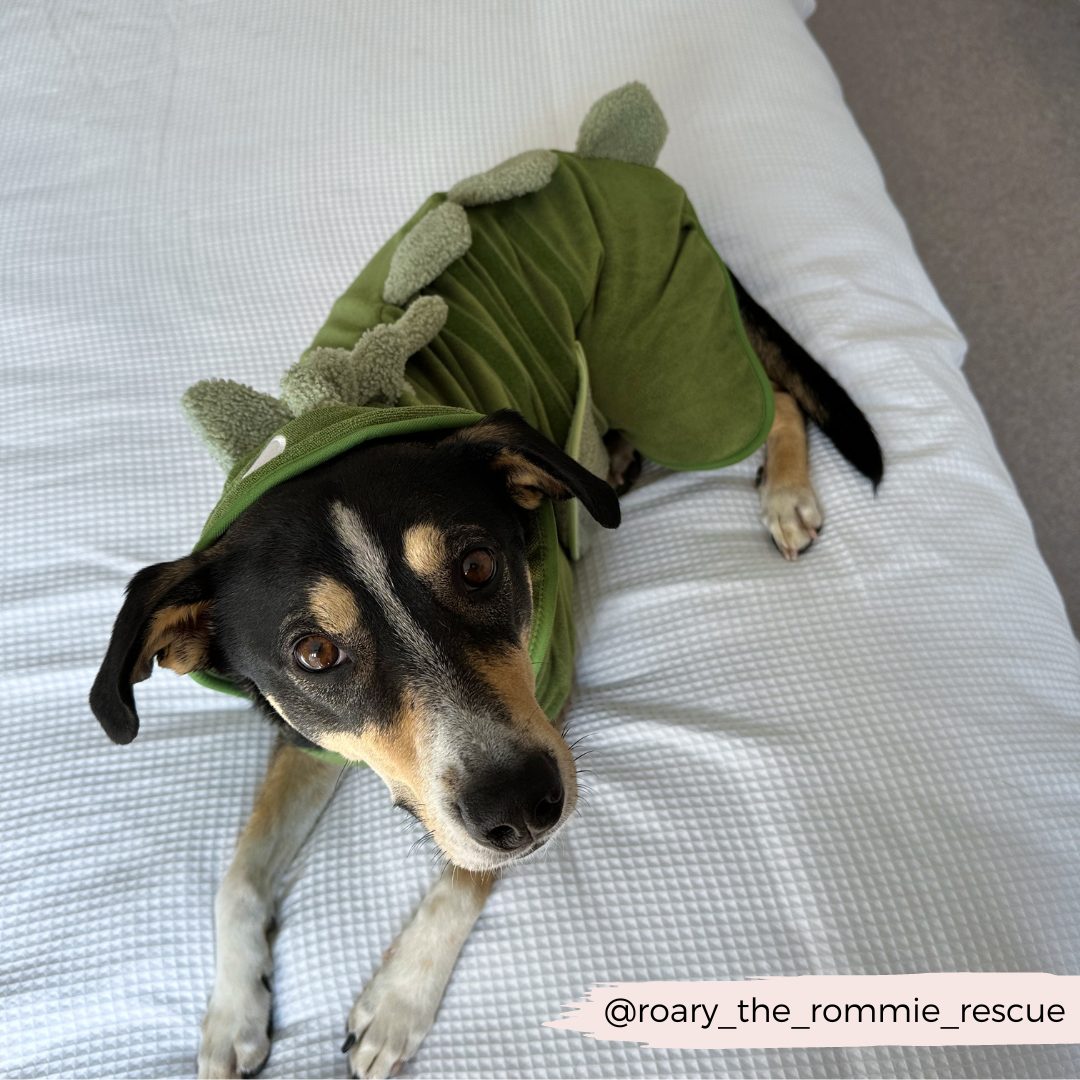 Dinopup Drying Robe