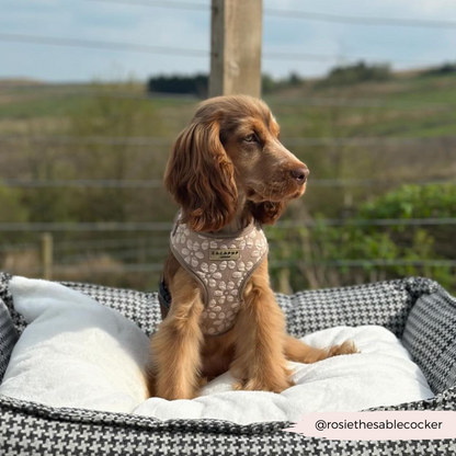 Luxe Adjustable Neck HARNESS - Mocha Flower