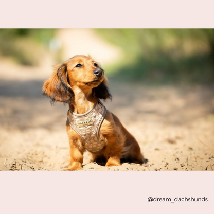 Luxe Adjustable Neck HARNESS - Mocha Flower