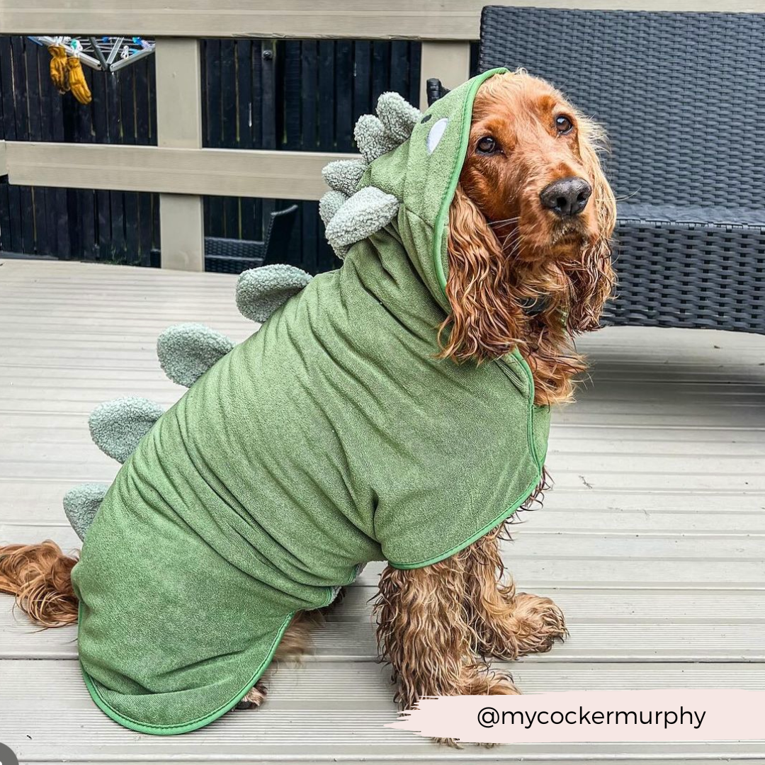 Dinopup Drying Robe