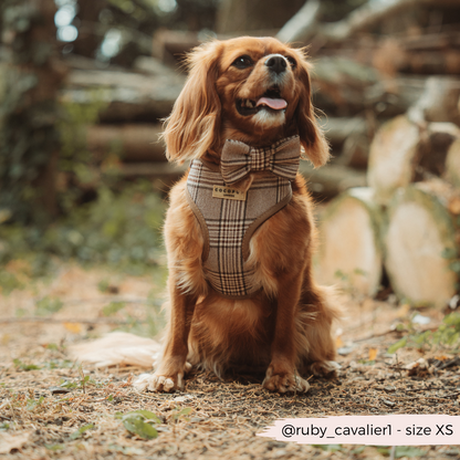 Pup Plaid Adjustable Neck HARNESS