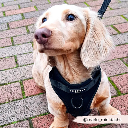 NAKD Adjustable Neck Harness - Liquorice