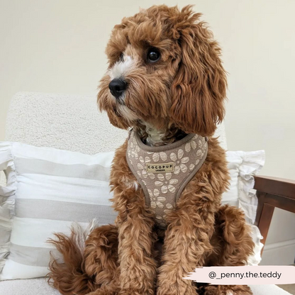 Luxe Adjustable Neck HARNESS - Mocha Flower