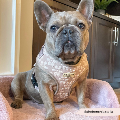 Luxe Adjustable Neck HARNESS - Mocha Flower