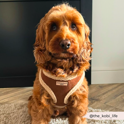 Brown Aviator Adjustable Neck HARNESS