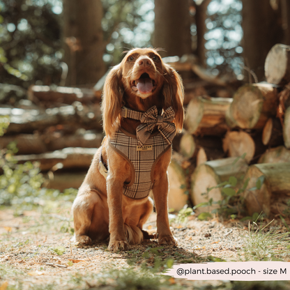 Pup Plaid COLLAR