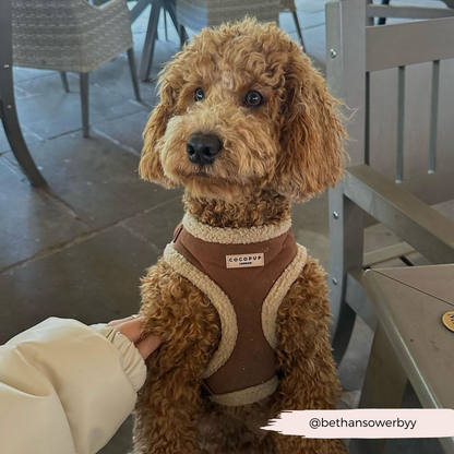Brown Aviator Adjustable Neck HARNESS