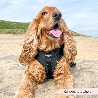 NAKD Adjustable Neck Harness - Liquorice