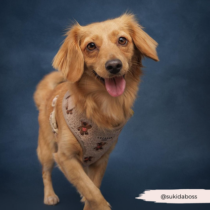 Theo Embroidered Teddy Adjustable Neck HARNESS