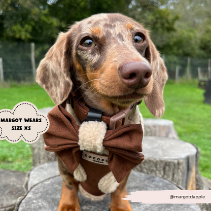 Brown Aviator Adjustable Neck HARNESS