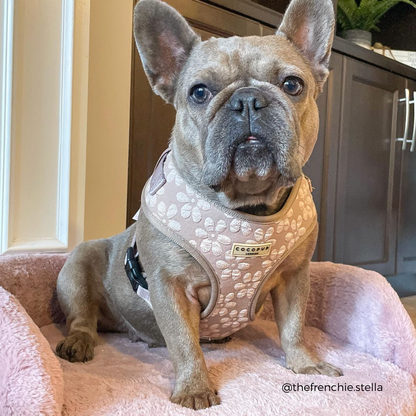 Luxe Adjustable Neck HARNESS - Mocha Flower