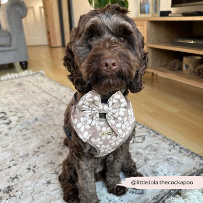 Luxe Adjustable Neck HARNESS - Mocha Flower