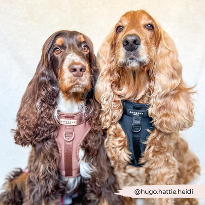 NAKD Adjustable Neck Harness - Liquorice