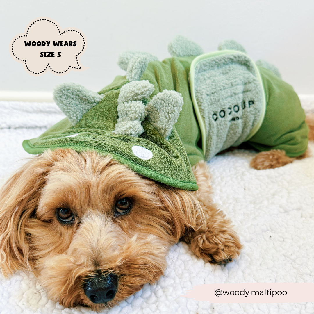 Dinopup Drying Robe