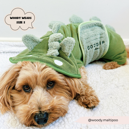 Dinopup Drying Robe