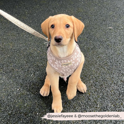Luxe Adjustable Neck HARNESS - Mocha Flower