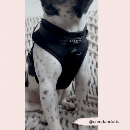 NAKD Adjustable Neck Harness - Liquorice