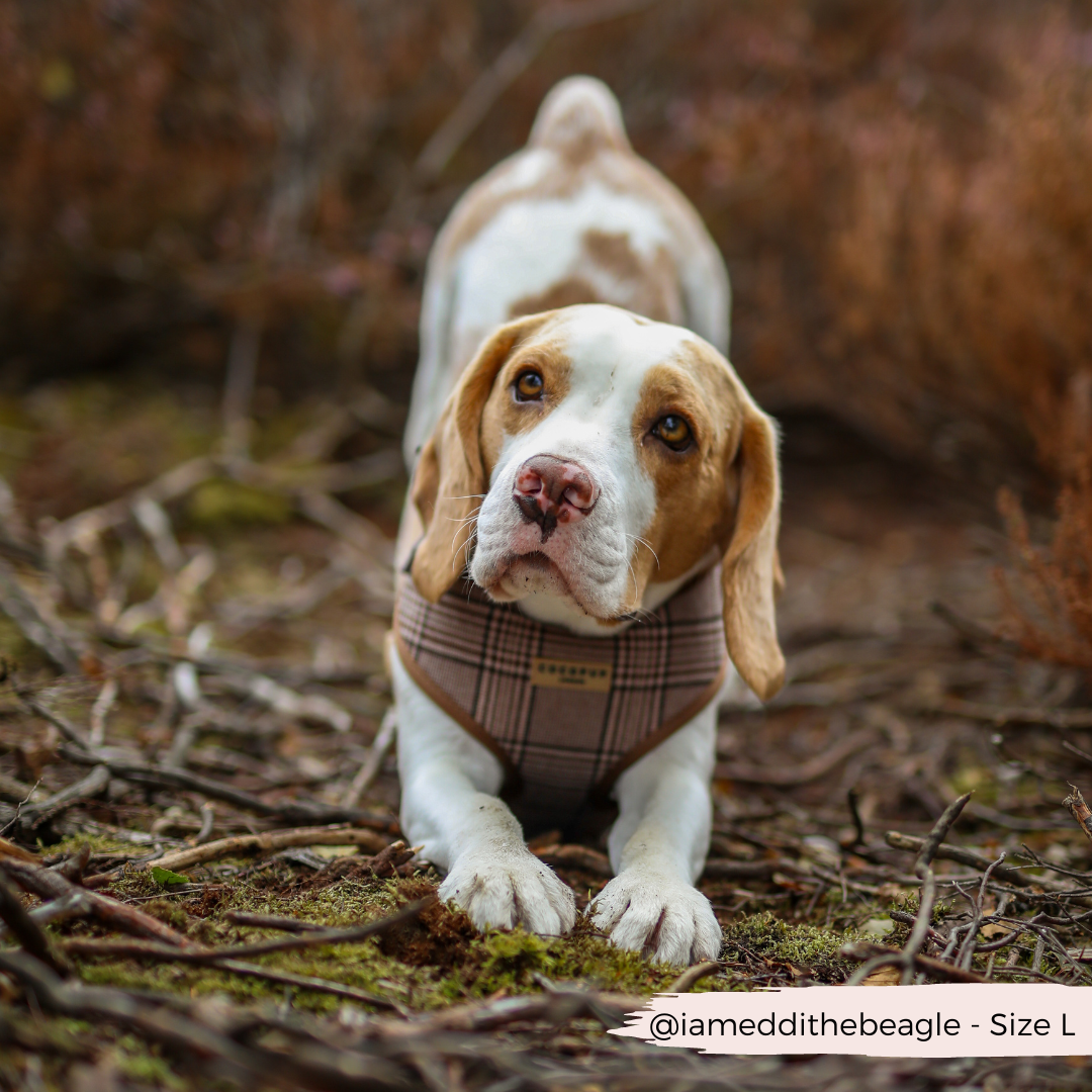 Pup Plaid Adjustable Neck HARNESS