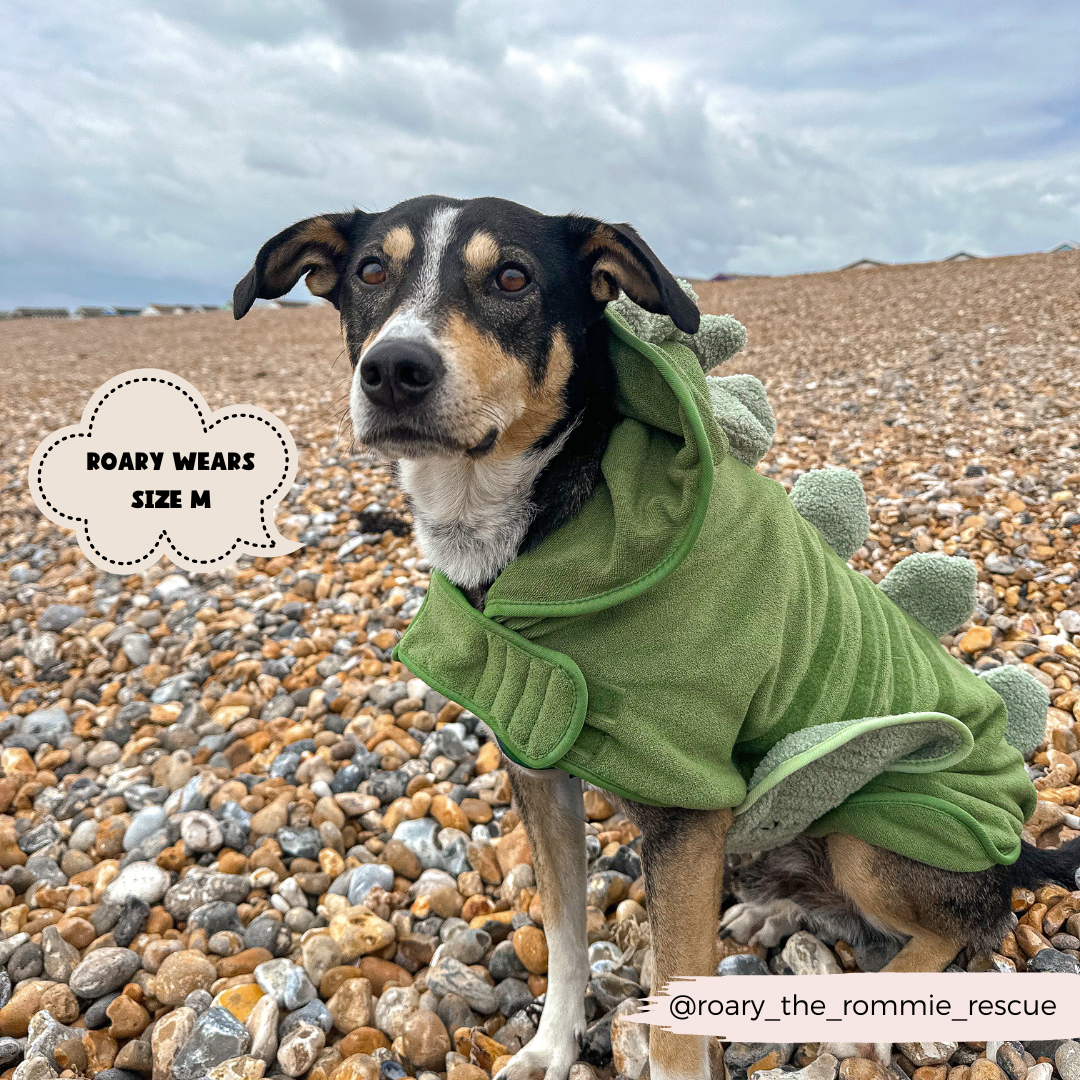Dinopup Drying Robe