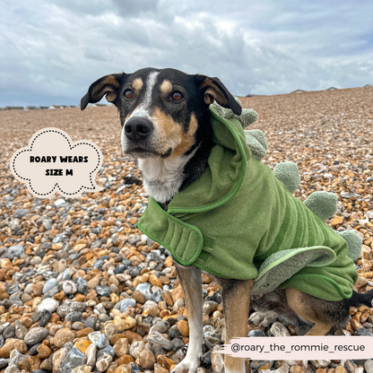 Dinopup Drying Robe