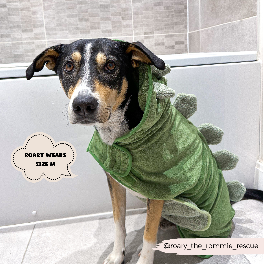 Dinopup Drying Robe