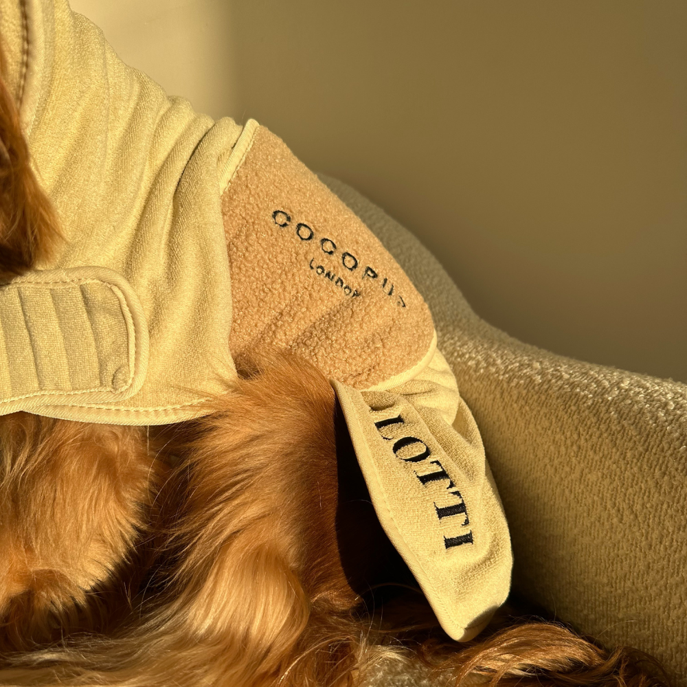 Teddy Drying Robe