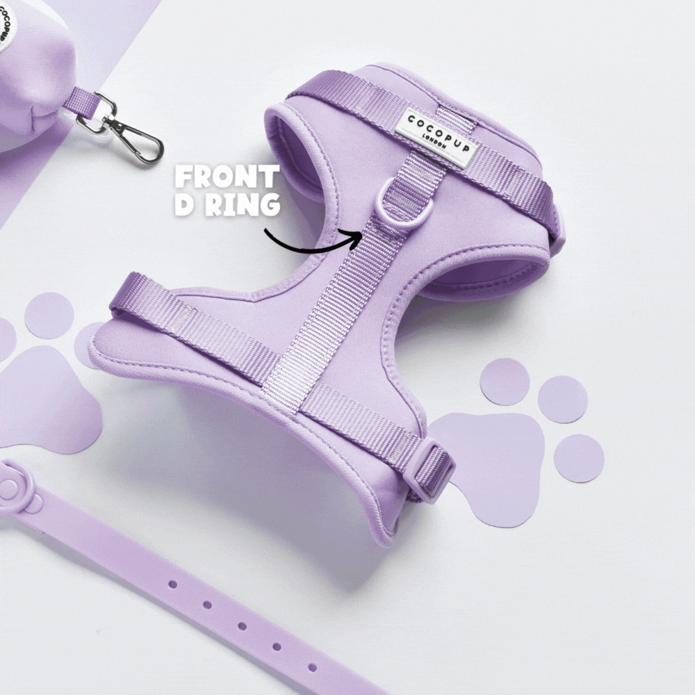 NAKD Adjustable Neck Harness - Liquorice