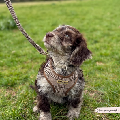 Pup Plaid Adjustable Neck Harness, Lead & Collar Bundle
