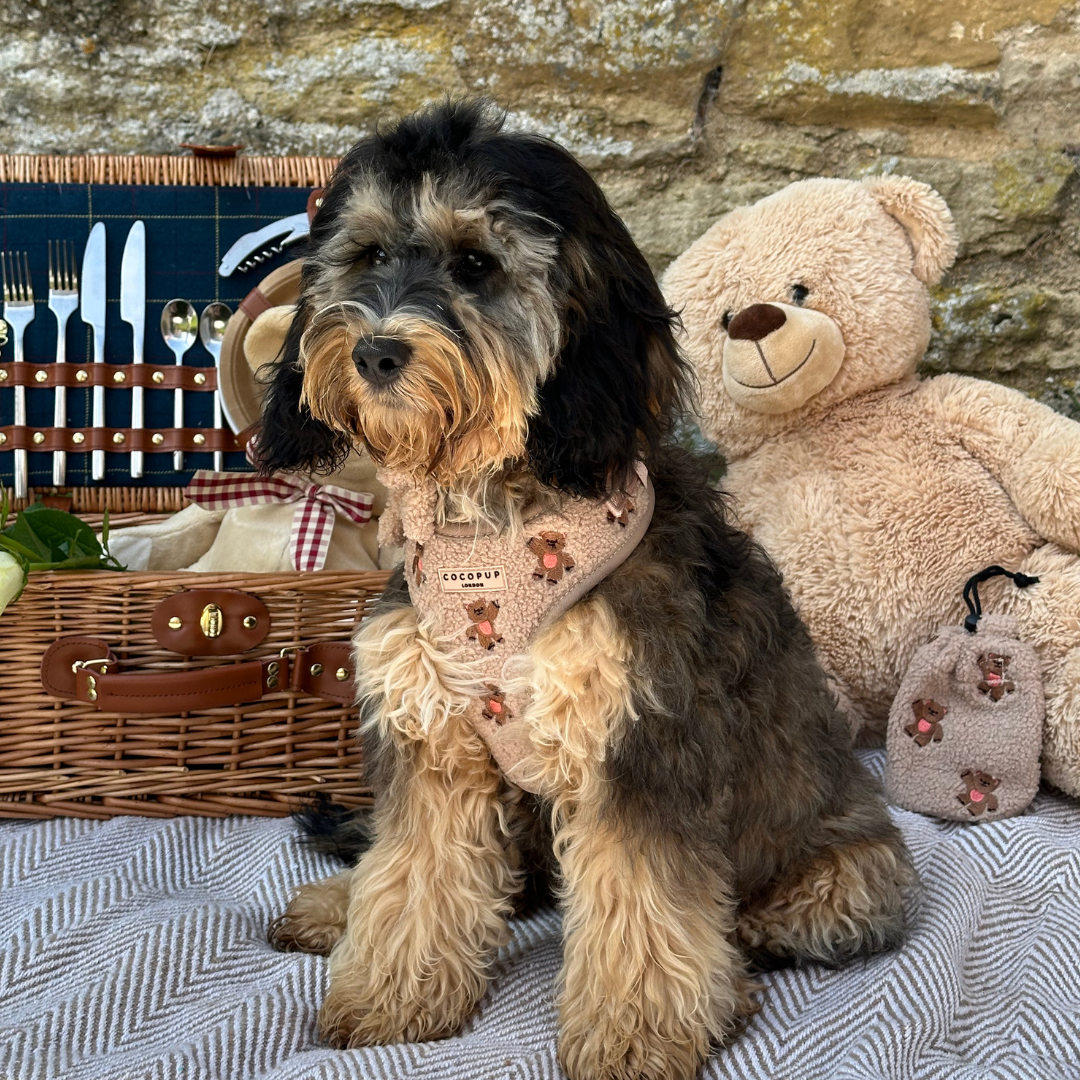 Theo Embroidered Teddy Adjustable Neck HARNESS