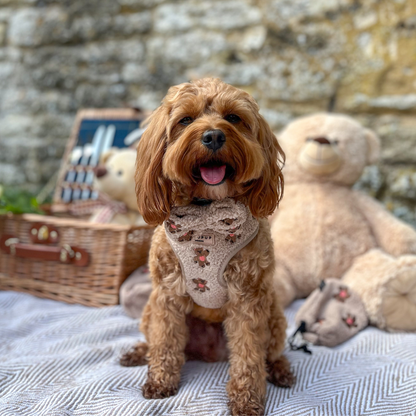 Theo Embroidered Teddy Adjustable Neck HARNESS