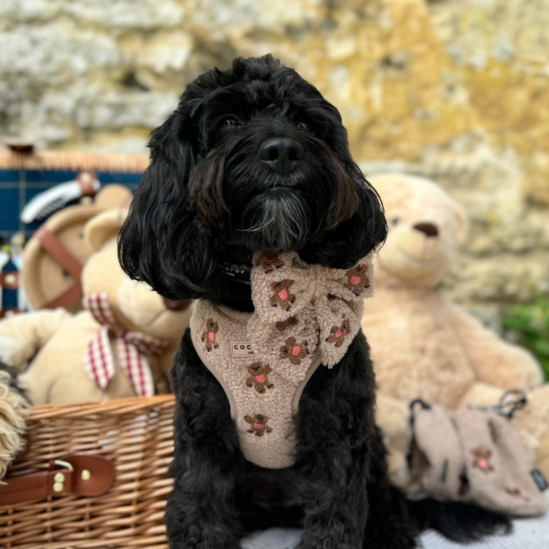 Theo Embroidered Teddy Adjustable Neck HARNESS