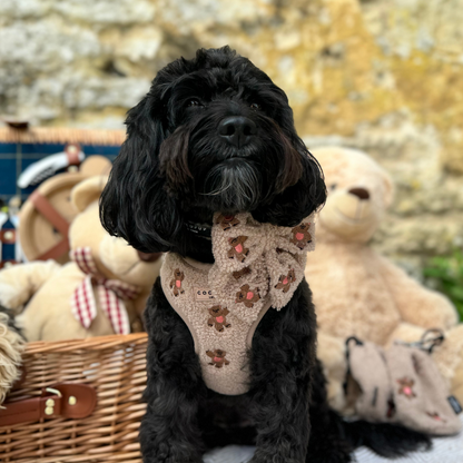 Theo Embroidered Teddy Adjustable Neck HARNESS