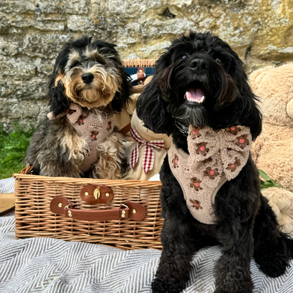 Theo Embroidered Teddy Adjustable Neck HARNESS