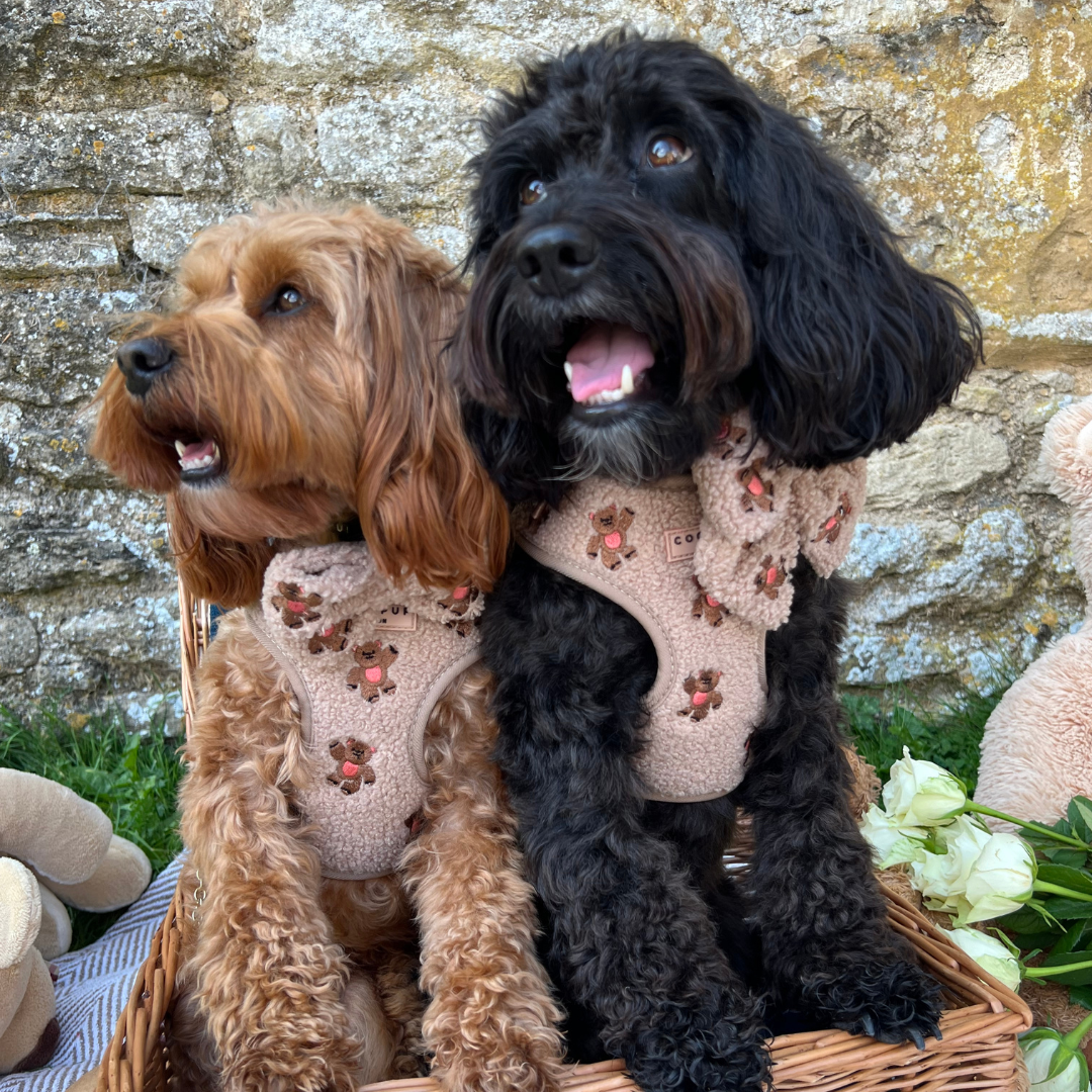 Theo Embroidered Teddy Adjustable Neck HARNESS