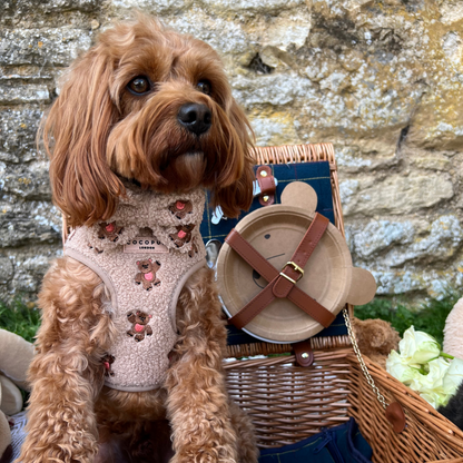 Theo Embroidered Teddy Adjustable Neck HARNESS