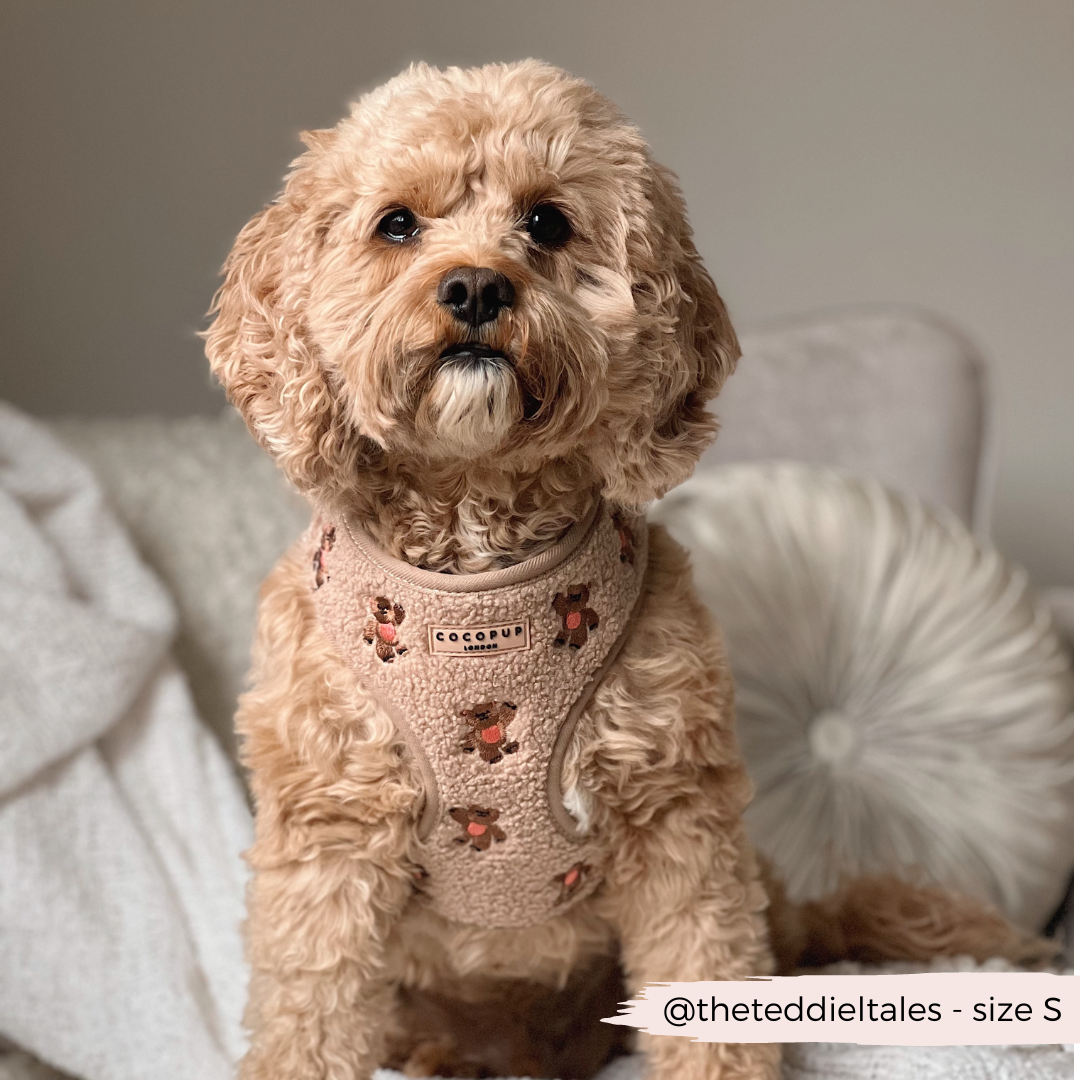 Theo Embroidered Teddy Adjustable Neck HARNESS