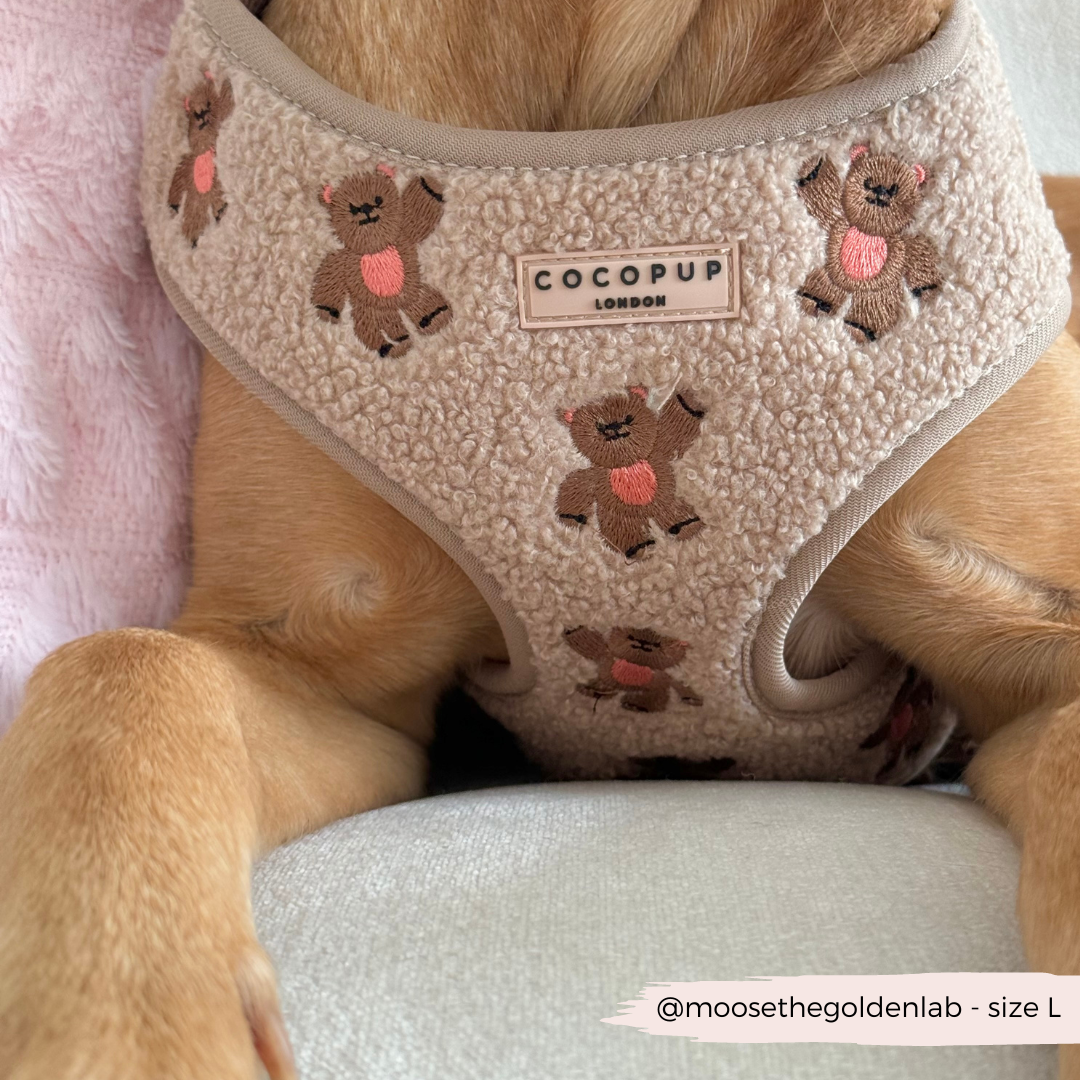 Theo Embroidered Teddy Adjustable Neck HARNESS