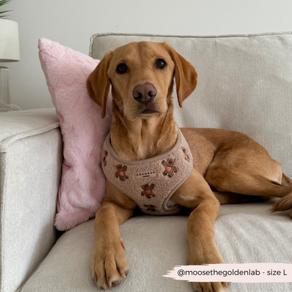 Theo Embroidered Teddy Adjustable Neck HARNESS