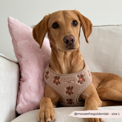 Theo Embroidered Teddy Adjustable Neck HARNESS