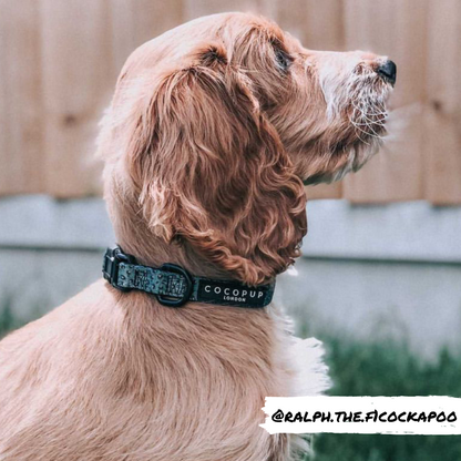 Khaki Leopard COLLAR